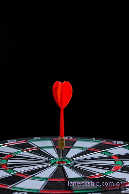天成飞艇数据统计分析模型